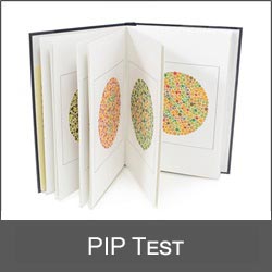 Logo-PIP test